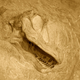 Image for article titled The Original Jurassic Park